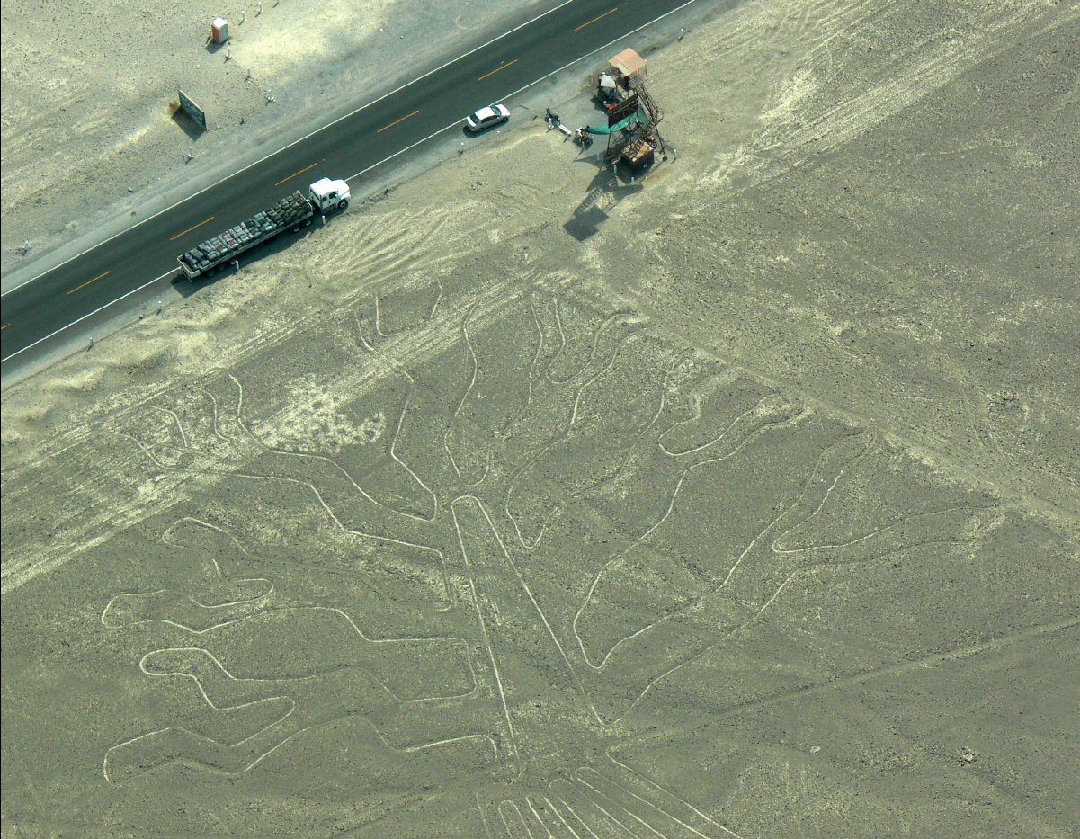 Nasca Lines34 - Tree